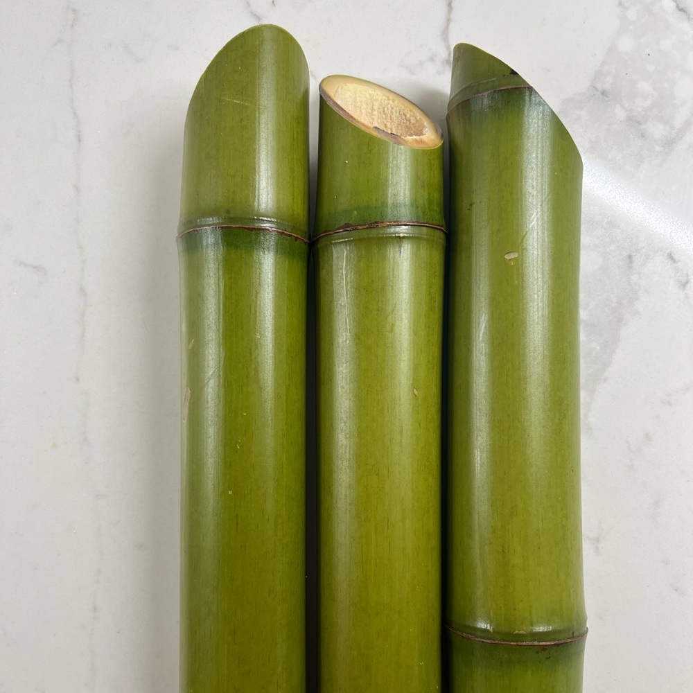 1.5” diameter bamboo poles fresh cut with 45 degree angle set of 3 poles 1 foot